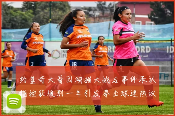 约基奇大哥因湖掘大战后事件承认指控获缓刑一年引发拳击球迷热议