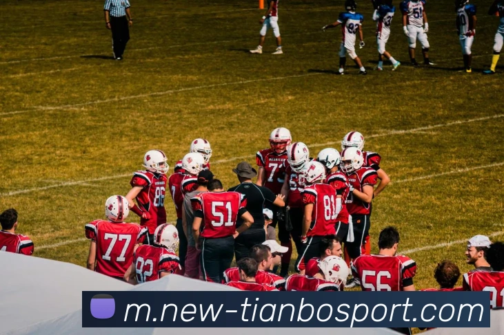 App Interface Preview