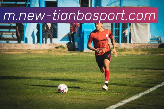 天博体育APP 封面图